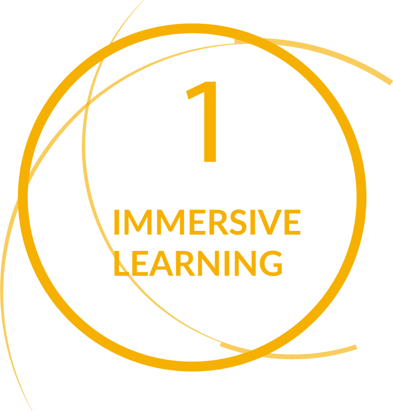Immersive Learning