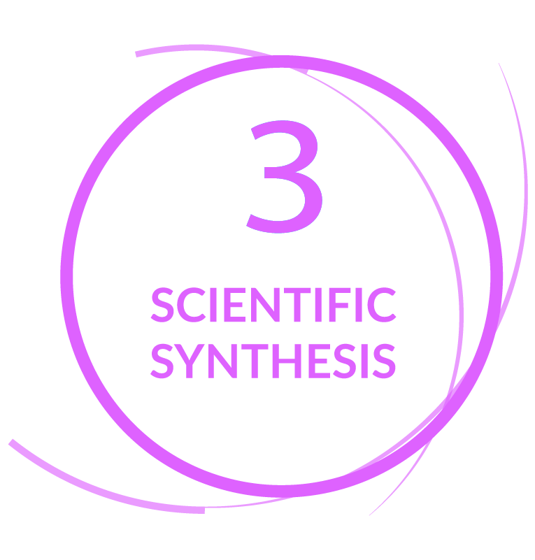 Scientific Synthesis