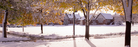 Professor of Common Ground