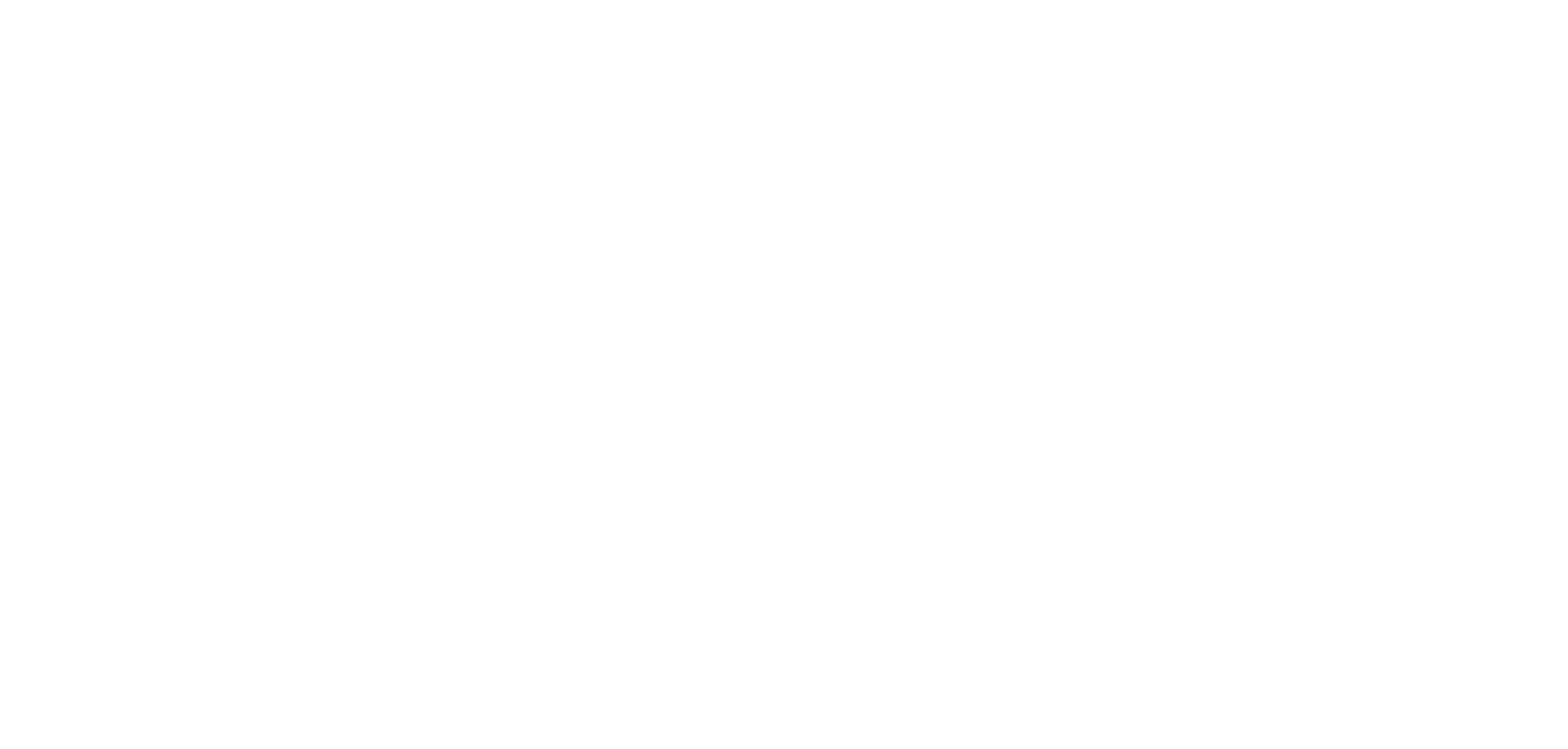 Envision UNC Logo White